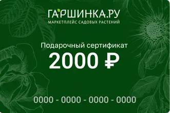 Подарочный сертификат интернет-магазина «Гаршинка.ру» номиналом 2000 рублей