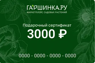 Подарочный сертификат интернет-магазина «Гаршинка.ру» номиналом 3000 рублей
