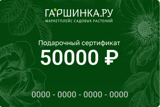 Подарочный сертификат интернет-магазина «Гаршинка.ру» номиналом 50000 рублей