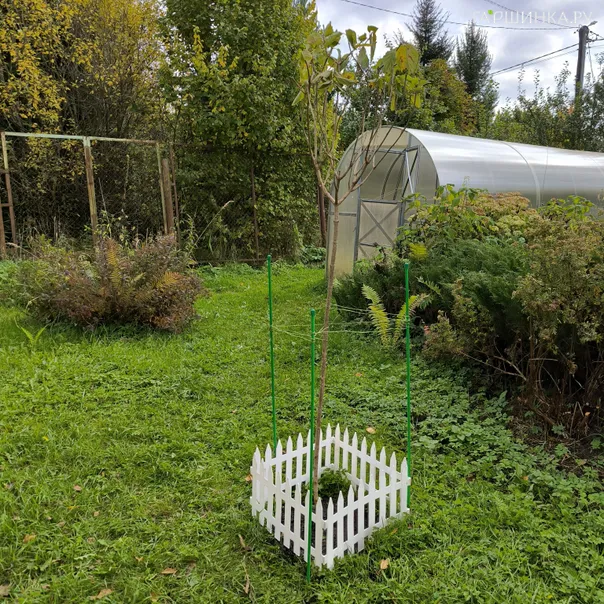 превью изображения отзыва