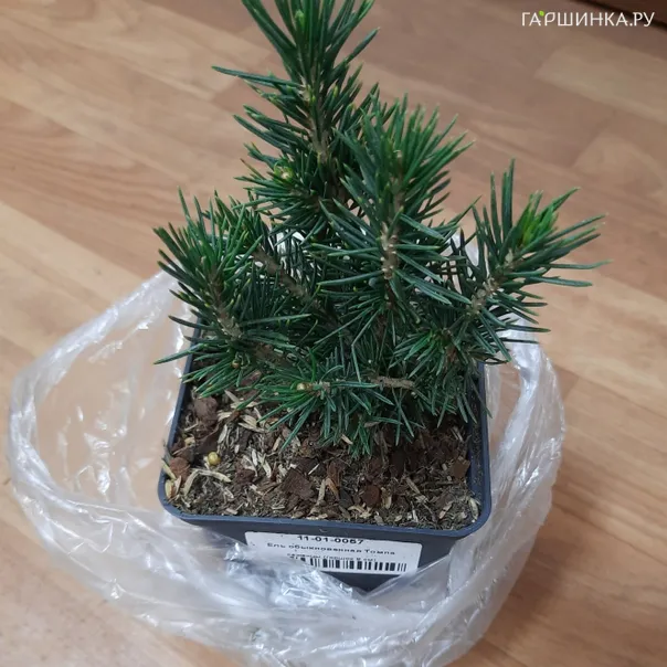 превью изображения отзыва