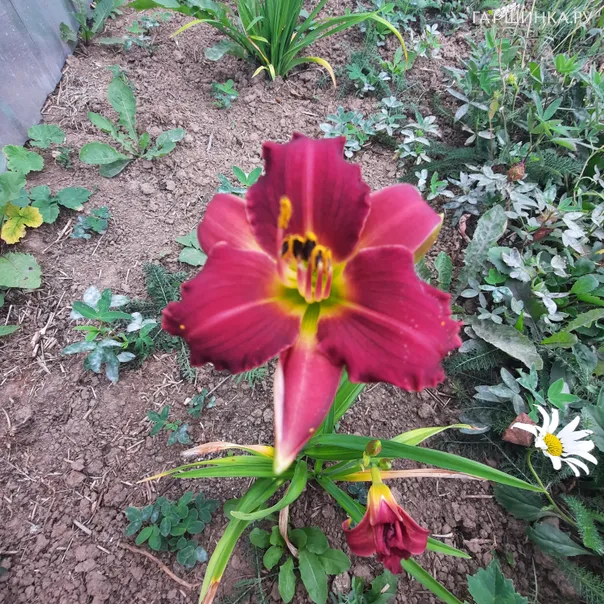 превью изображения отзыва