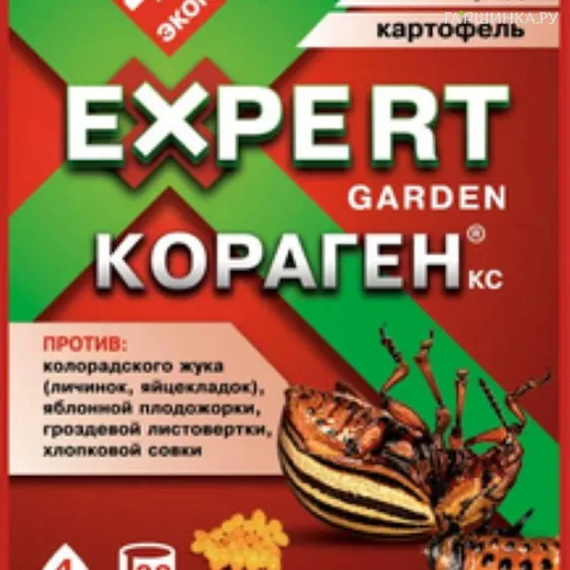 КОРАГЕН, КС